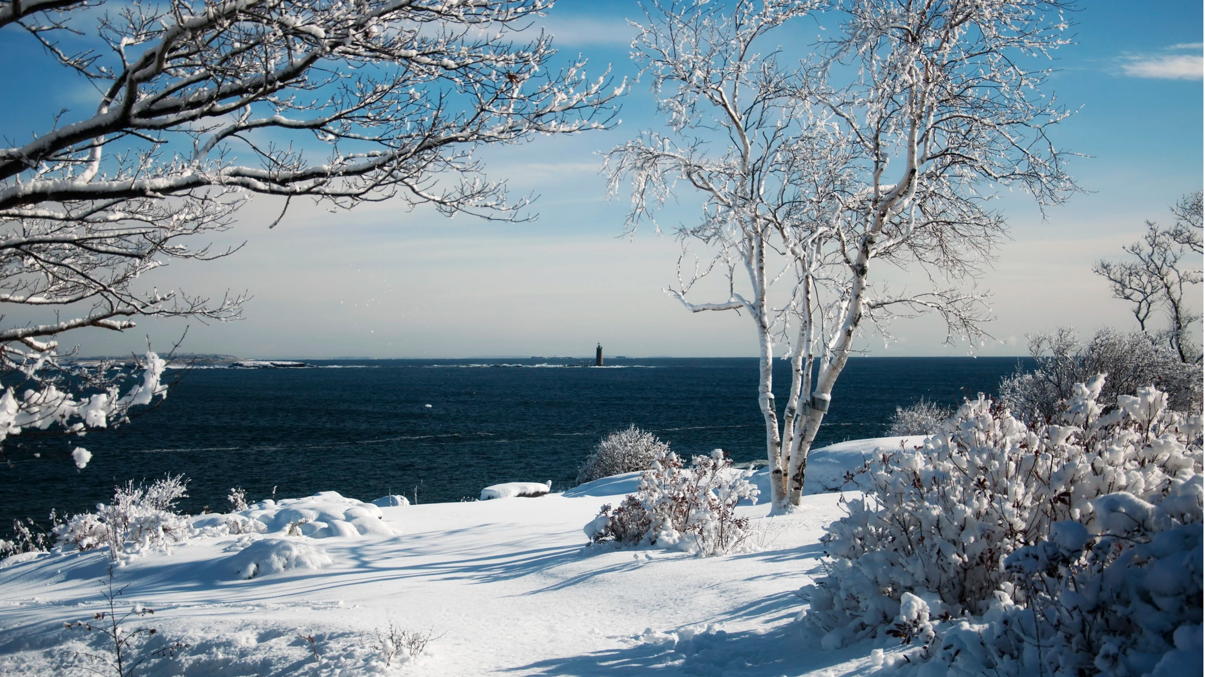 Maine Winter Landscape